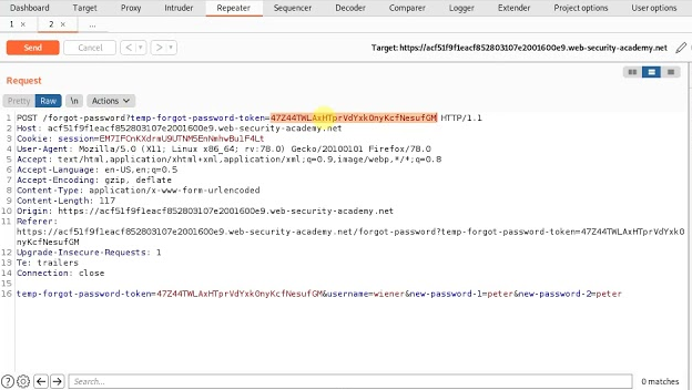 Hackers Perspective Web App Vulnerabilities Password Reset Feature 2