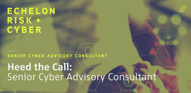 Senior Cyber Advisory Consultant